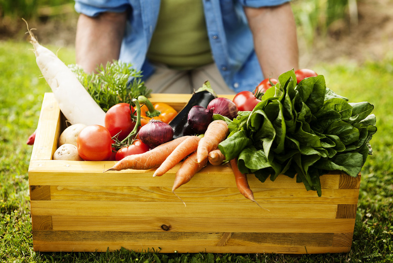 Iced and Fresh Foods