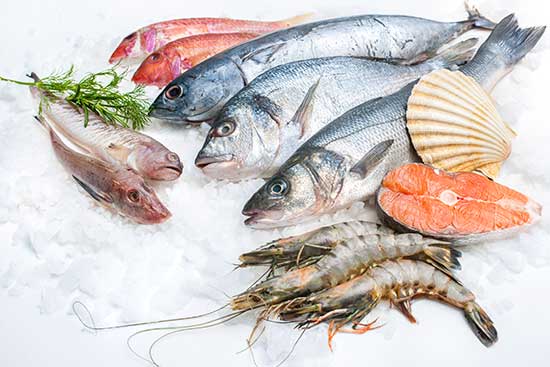 Iced and Fresh Foods