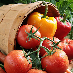 Fresh Vegetable Produce