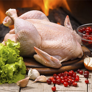 Chicken Products