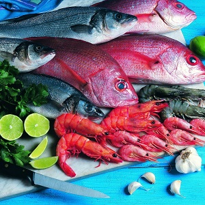 Fish Products