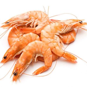 Fish Products