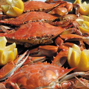 Fish Products